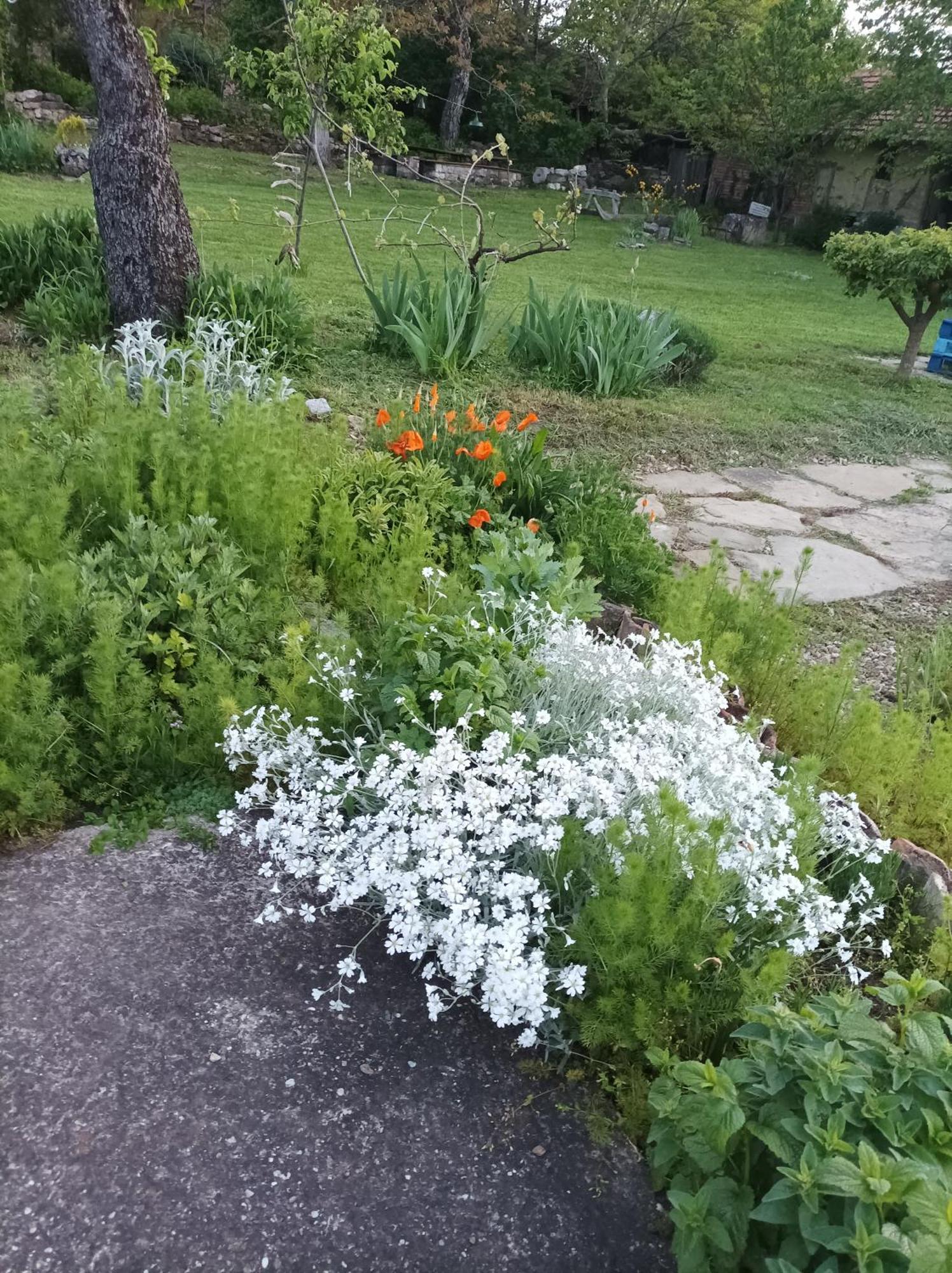 Bilkarskata Kashta Hotel Gorsko Slivovo Luaran gambar